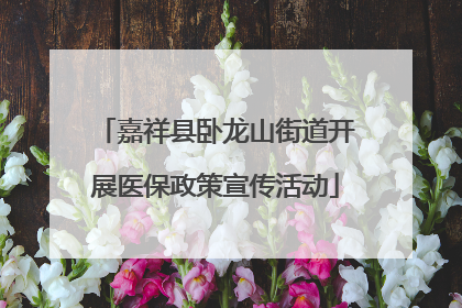 嘉祥县卧龙山街道开展医保政策宣传活动
