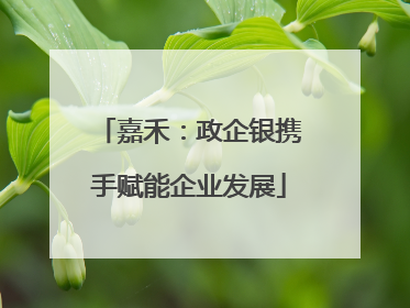 嘉禾：政企银携手赋能企业发展