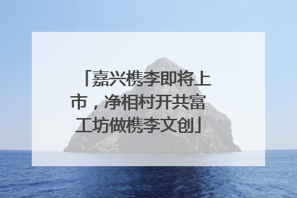 嘉兴槜李即将上市，净相村开共富工坊做槜李文创