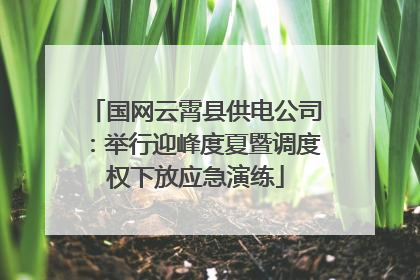 国网云霄县供电公司：举行迎峰度夏暨调度权下放应急演练