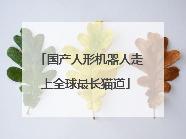 国产人形机器人走上全球最长猫道