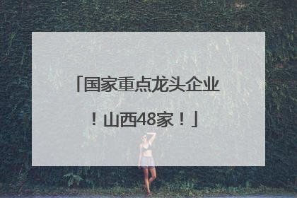 国家重点龙头企业!山西48家!
