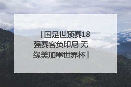 国足世预赛18强赛客负印尼 无缘美加墨世界杯