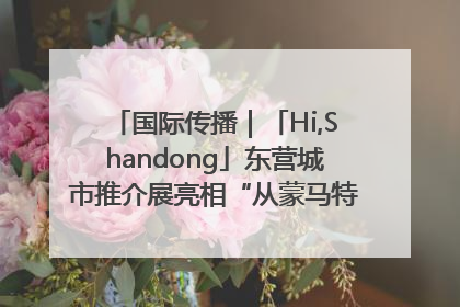 国际传播｜「Hi,Shandong」东营城市推介展亮相“从蒙马特到加里波第”文化节