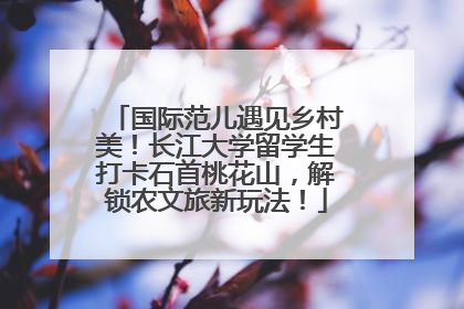 国际范儿遇见乡村美！长江大学留学生打卡石首桃花山，解锁农文旅新玩法！