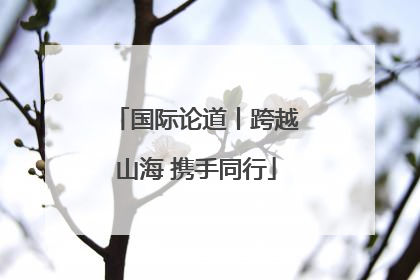 国际论道丨跨越山海 携手同行