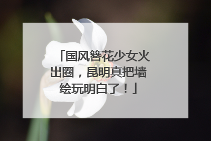 国风簪花少女火出圈，昆明真把墙绘玩明白了！