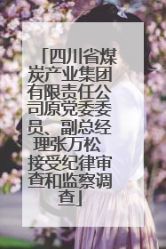 四川省煤炭产业集团有限责任公司原党委委员、副总经理张万松 接受纪律审查和监察调查