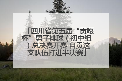 四川省第五届“贡嘎杯”男子排球（初中组）总决赛开赛 自贡这支队伍打进半决赛