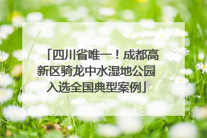 四川省唯一！成都高新区骑龙中水湿地公园入选全国典型案例