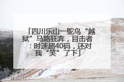 四川乐山一鸵鸟“越狱”马路狂奔，目击者：时速超40码，还对我“笑”了下
