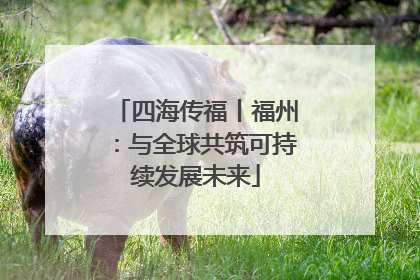四海传福丨福州：与全球共筑可持续发展未来