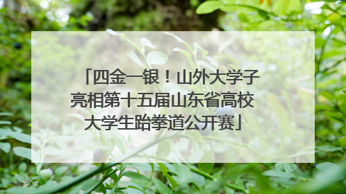 四金一银！山外大学子亮相第十五届山东省高校大学生跆拳道公开赛