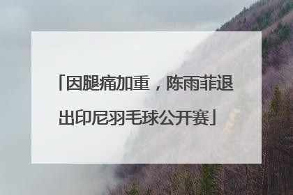 因腿痛加重，陈雨菲退出印尼羽毛球公开赛