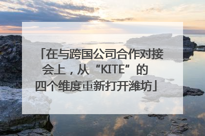 在与跨国公司合作对接会上，从“KITE”的四个维度重新打开潍坊