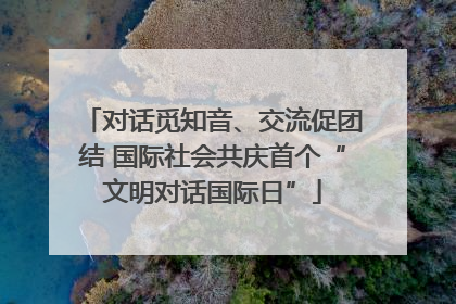 对话觅知音、交流促团结 国际社会共庆首个“文明对话国际日”