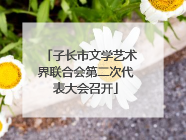 子长市文学艺术界联合会第二次代表大会召开