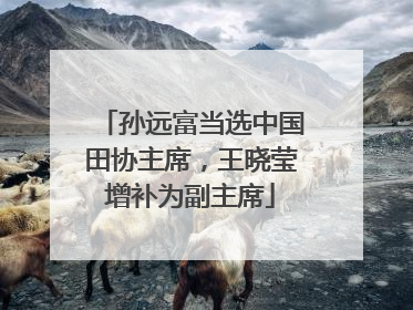 孙远富当选中国田协主席，王晓莹增补为副主席
