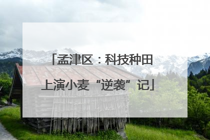 孟津区：科技种田 上演小麦“逆袭”记