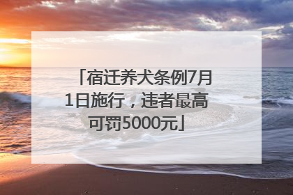 宿迁养犬条例7月1日施行，违者最高可罚5000元