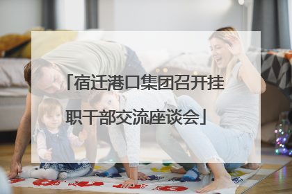 宿迁港口集团召开挂职干部交流座谈会