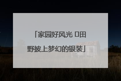 家园好风光 ⎮田野披上梦幻的银装