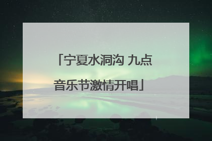 宁夏水洞沟 九点音乐节激情开唱