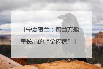 宁夏贺兰：智慧方舱里长出的“金疙瘩”