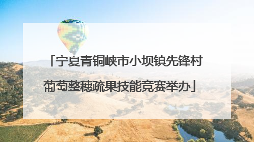 宁夏青铜峡市小坝镇先锋村葡萄整穗疏果技能竞赛举办