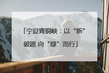 宁夏青铜峡：以“新”破题 向“绿”而行