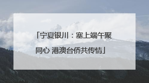宁夏银川：塞上端午聚同心 港澳台侨共传情