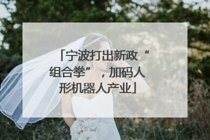 宁波打出新政“组合拳”，加码人形机器人产业