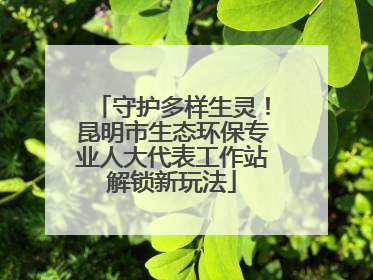 守护多样生灵！昆明市生态环保专业人大代表工作站解锁新玩法