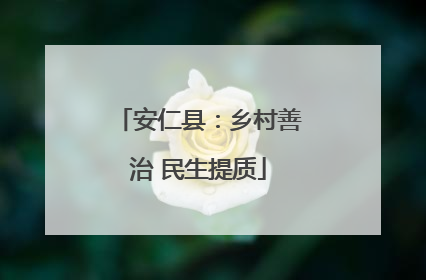 安仁县：乡村善治 民生提质