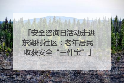 安全咨询日活动走进东湖村社区：老年居民收获安全“三件宝”