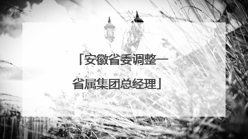安徽省委调整一省属集团总经理