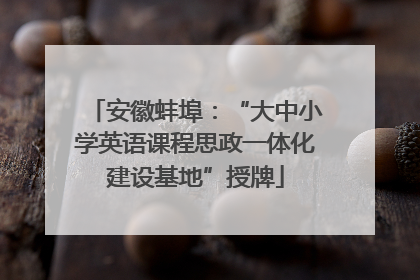 安徽蚌埠：“大中小学英语课程思政一体化建设基地”授牌