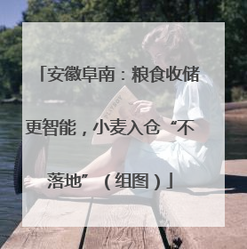 安徽阜南：粮食收储更智能，小麦入仓“不落地”（组图）