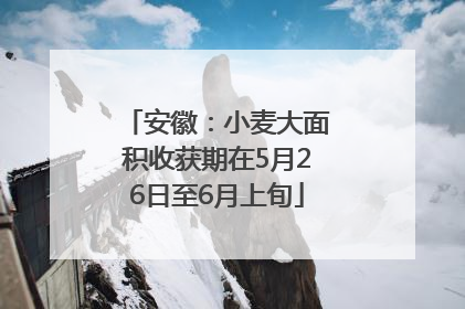 安徽：小麦大面积收获期在5月26日至6月上旬