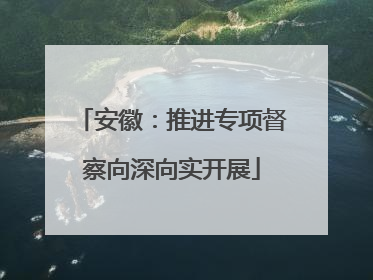 安徽：推进专项督察向深向实开展