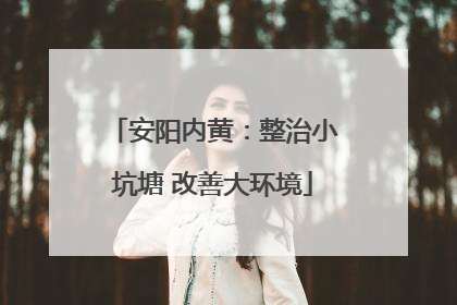 安阳内黄：整治小坑塘 改善大环境