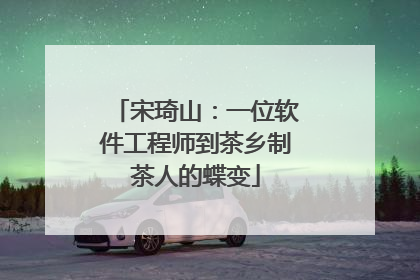 宋琦山：一位软件工程师到茶乡制茶人的蝶变