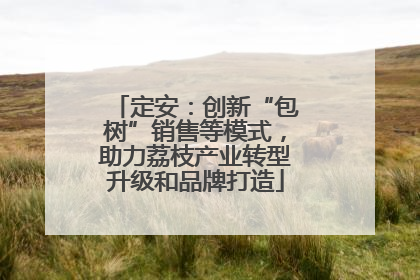 定安：创新“包树”销售等模式，助力荔枝产业转型升级和品牌打造