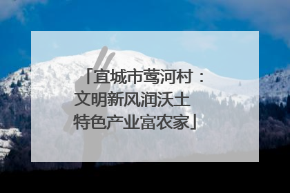 宜城市莺河村：文明新风润沃土 特色产业富农家