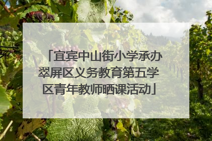 宜宾中山街小学承办翠屏区义务教育第五学区青年教师晒课活动