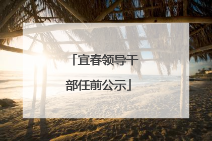 宜春领导干部任前公示