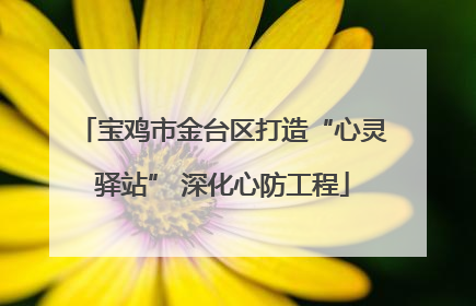 宝鸡市金台区打造“心灵驿站” 深化心防工程