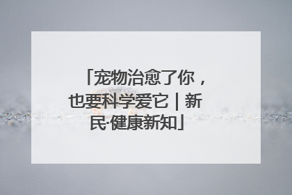 宠物治愈了你，也要科学爱它｜新民·健康新知