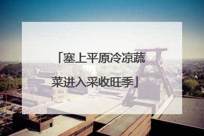 塞上平原冷凉蔬菜进入采收旺季