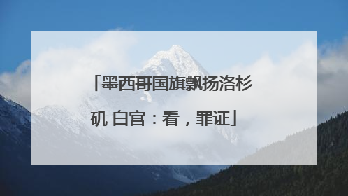 墨西哥国旗飘扬洛杉矶 白宫：看，罪证
